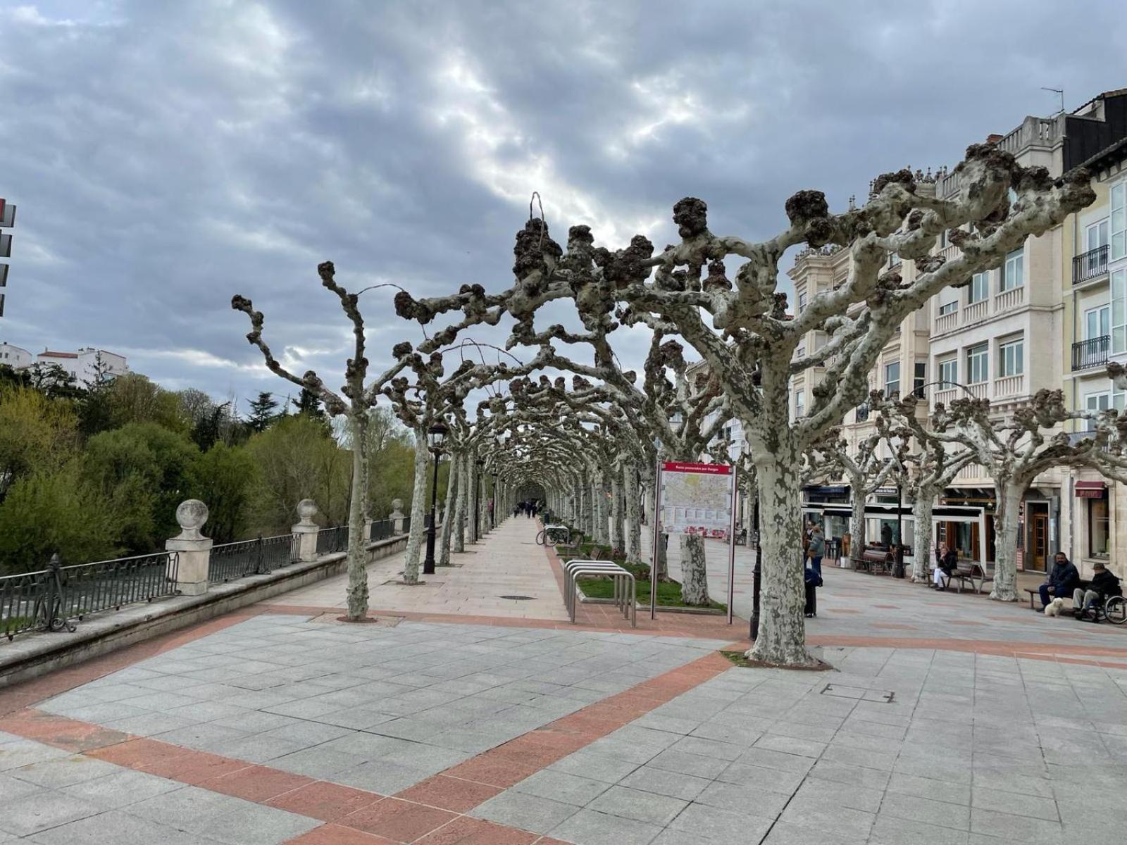 El Farolillo De La Catedral Vivienda De Uso Turistico Vut 9/251 Lägenhet Burgo Exteriör bild